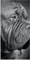 WallClassics - Poster (Matte) - Drooling Dog (Zwart- Blanc) - 50x100 cm Photo sur Papier Poster avec un aspect Mat