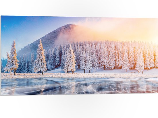 PVC Schuimplaat - Felle Zon over het IJs bij Sneeuwbomen in Landschap - 100x50 cm Foto op PVC Schuimplaat (Met Ophangsysteem)