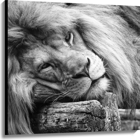 WallClassics - Canvas - Liggende Leeuw in het Zwart Wit - 100x100 cm Foto op Canvas Schilderij (Wanddecoratie op Canvas)