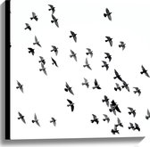 WallClassics - Canvas - Zwerm Vogels - 60x60 cm Foto op Canvas Schilderij (Wanddecoratie op Canvas)