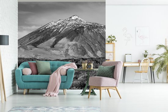 Papier peint photo Tenerife - Volcan El Tei à Tenerife, Espagne - Zwart- Wit largeur 260 cm x hauteur 260 cm - Impression photo sur papier peint vinyle (disponible en 7 formats) - chambre/séjour/bureau