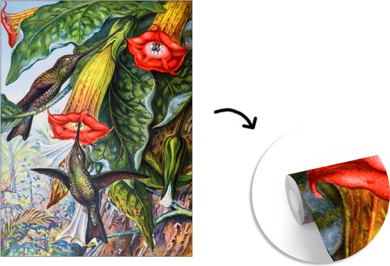 Papier peint photo peint photo vinyle - Colibri ancien imprimé oiseau largeur 175 cm x hauteur 240 cm - Tirage photo sur papier peint (disponible en 7 tailles)