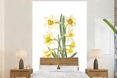 Papier Papier peint photo - Papiers Peints - Fleurs Jonquilles - Largeur 155 cm x Hauteur 240 cm