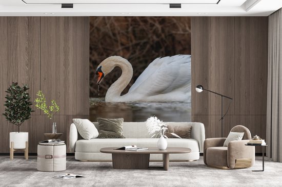 Behang - Fotobehang Zwaan - Water - Dieren - Vogel - Breedte 175 cm x hoogte 240 cm