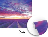 Behang - Fotobehang Lavendelveld onder zonsondergang - Breedte 300 cm x hoogte 300 cm