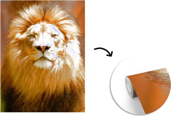 Papier peint - Papier peint photo Lion - Marron - Portrait - Largeur 205 cm x hauteur 280 cm
