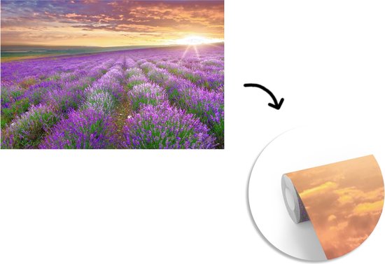 Behang - Fotobehang Lavendel - Wolken - Lente - Breedte 450 cm x hoogte 300 cm