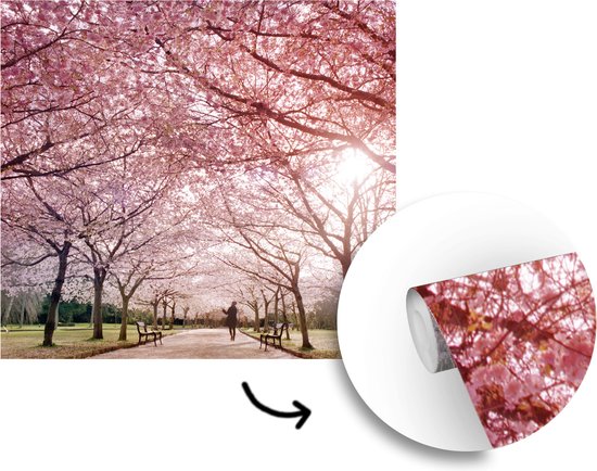 Papier peint photo peint photo vinyle - Cerisiers roses au printemps largeur 265 cm x hauteur 240 cm - Tirage photo sur papier peint (disponible en 7 tailles)