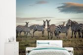 Behang - Fotobehang Zebra's in Kenia - Breedte 315 cm x hoogte 260 cm