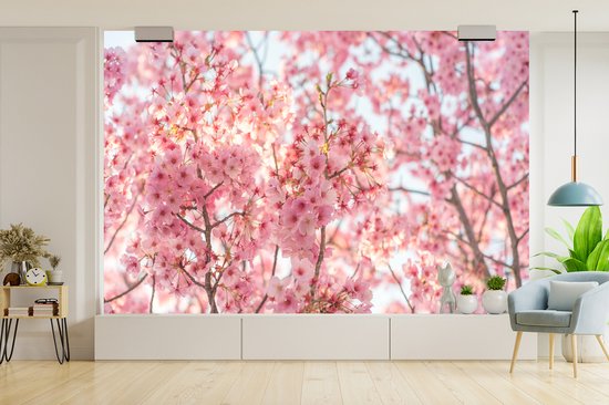 Papier peint Papier peint photo en vinyle - Fleur de cerisier au Japon largeur 420 cm x hauteur 280 cm - Tirage photo sur papier peint (disponible en 7 tailles)