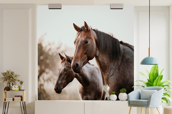 Papier Peint - Papier Papier peint photo Paarden - Nature - Marron - Largeur 240 cm x Hauteur 240 cm