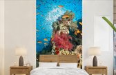 Behang - Fotobehang Koraal met vissen - Breedte 120 cm x hoogte 240 cm