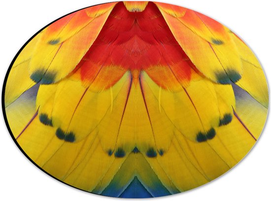 Dibond Ovaal - Close-up van Kleurrijke Veren - 28x21 cm Foto op Ovaal (Met Ophangsysteem)