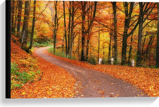 Canvas - Bospad door Herfstbos vol met Herfstkleuren - 60x40 cm Foto op Canvas Schilderij (Wanddecoratie op Canvas)