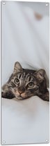WallClassics - Tuinposter – Cyperse Kat onder de Dekens - 40x120 cm Foto op Tuinposter (wanddecoratie voor buiten en binnen)