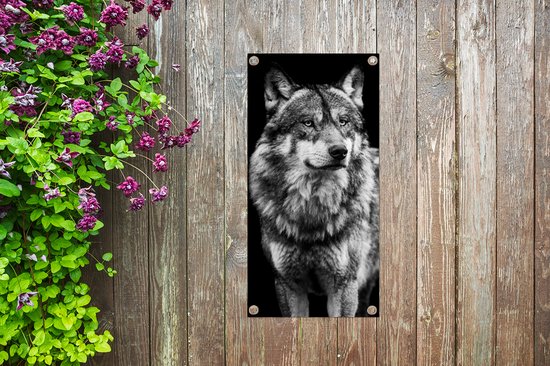 Affiche de jardin Loup - Animaux - Sauvage - Zwart - Wit - 40x80 cm - Décoration murale Extérieur - Affiche de jardin - Toile de jardin - Affiche de clôture - Peinture de jardin