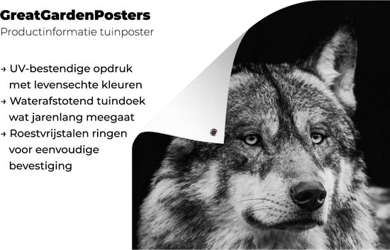 Affiche de jardin Loup - Animaux - Sauvage - Zwart - Wit - 40x80 cm - Décoration murale Extérieur - Affiche de jardin - Toile de jardin - Affiche de clôture - Peinture de jardin