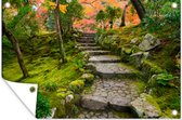 Tuinposters buiten Natuur - Stenen - Pad - Mos - Japans - 90x60 cm - Tuindoek - Buitenposter