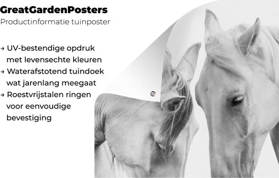 Tableau jardin Cheval - Animaux - Portrait - Wit - 60x80 cm - Affiche jardin - Toile jardin - Affiche extérieur