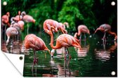 Tuindecoratie Flamingo - Tropisch - Vogel - Water - Roze - 60x40 cm - Tuinposter - Tuindoek - Buitenposter