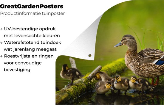 Décoration de Jardin Canard - Vogels - Water - Branche - Mousse - 40x30 cm