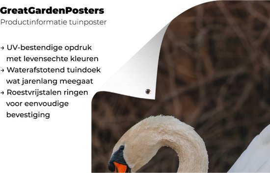 Affiche de jardin Cygne - Water - Animaux - Vogel - 30x60 cm - Toile de jardin - Poster extérieur