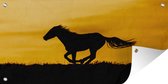 Tuinposter Silhouet van een sprintende mustang paard - 90x40 cm - Wanddecoratie Buiten - Tuinposter - Tuindoek - Schuttingposter - Tuinschilderij