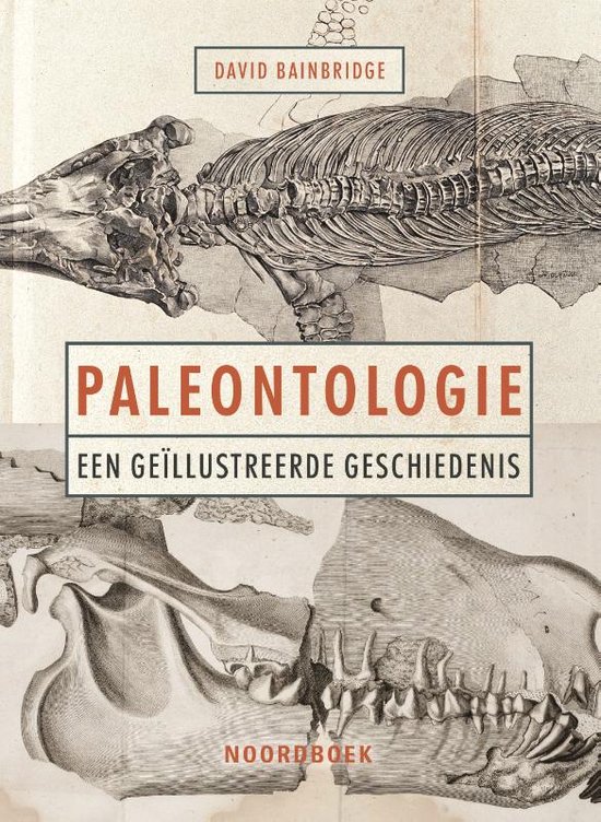 Foto: Paleontologie