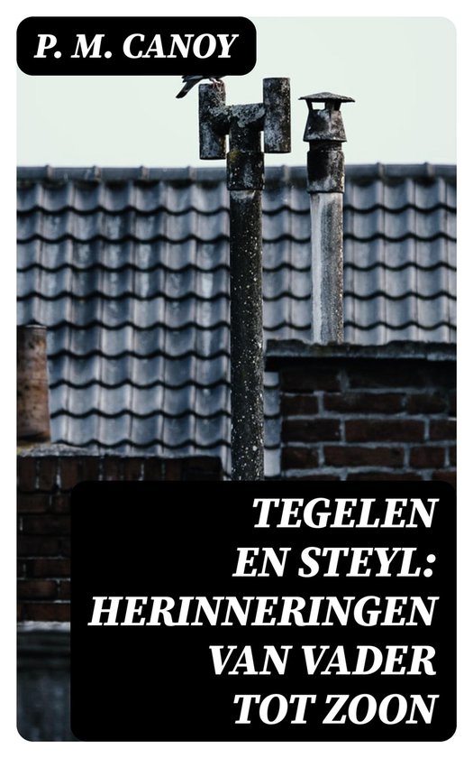 Aaien, Knuffelen, Verzorgen: Paarden Van Kim Geven Kinderen Met Beperking Meer Zelfvertrouwen~a401bb62