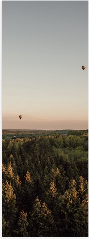 Poster (Mat) - Luchtballonnen boven de Bossen - 20x60 cm Foto op Posterpapier met een Matte look