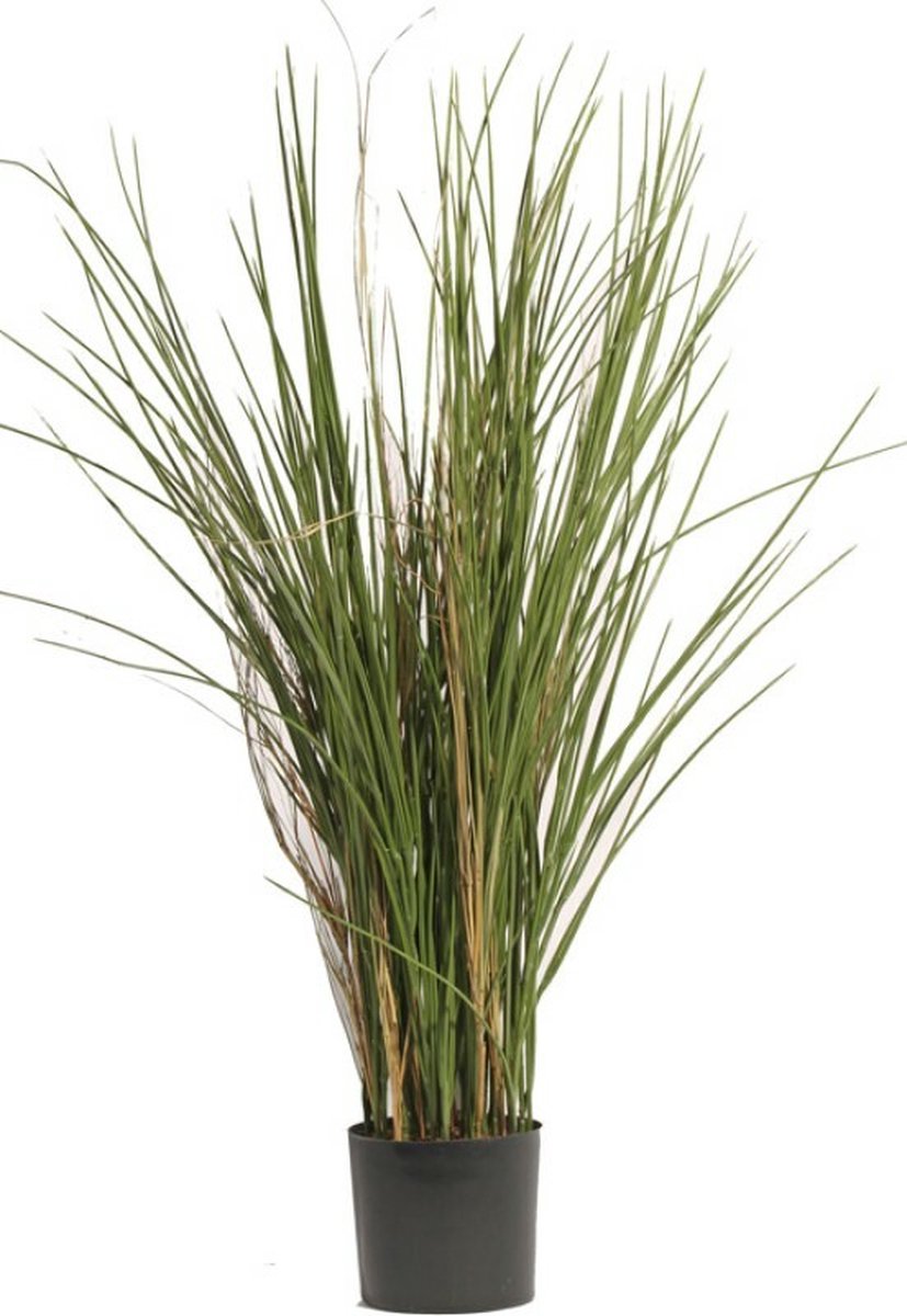 Kunstplant - Lampenpoetsersgras - Siergras - Pennisetum 'deluxe' hoogte 80cm