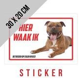 Waakbord/ sticker | Stafford | "Hier waak ik" | 30 x 20 cm | Staffordshire-bulterriër | Waakhond | Hond | Chien | Dog | Betreden op eigen risico | Mijn huisdier | Permanente lijm | Rechthoek | Witte achtergrond | 1 stuk