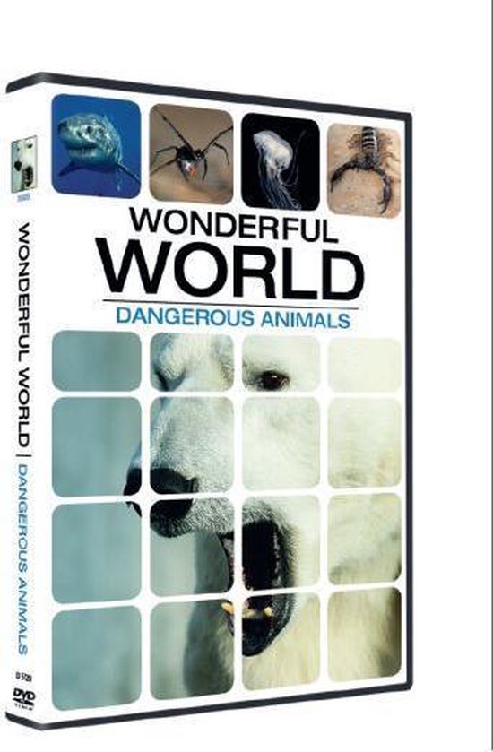 Cover van de film 'Wonderful World - Dangerous Animals'