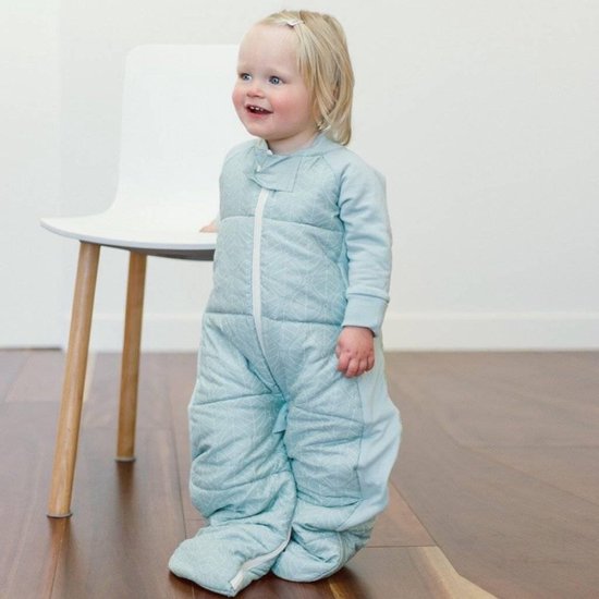Gigoteuse bébé - Ergopouch - Pyjamas mint 2.5 TOG - 2-12m | bol.com
