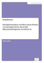 Interaktionsanalyse von Brix, einem Protein von Xenopus laevis, das in der Ribosomenbiogenese involviert ist