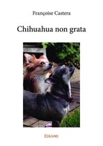 Collection Classique - Chihuahua non grata