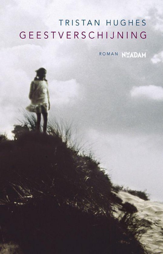 Geestverschijning, Tristan Hughes 9789046804414 Boeken