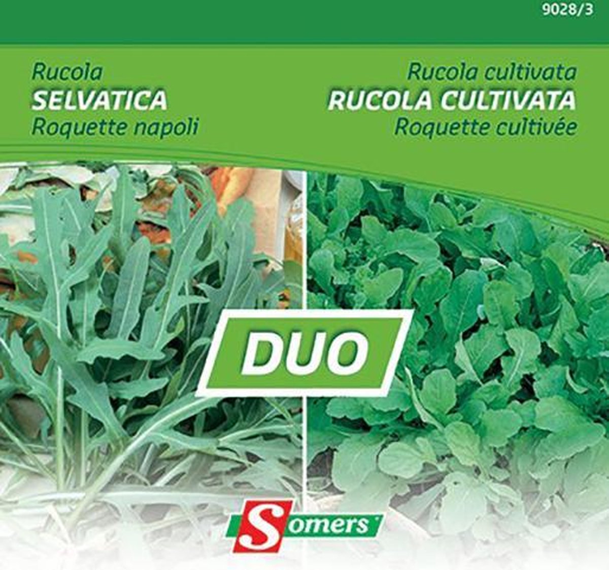 Duo van Somers zaden - Rucola Selvatica + Rucola Cultivata