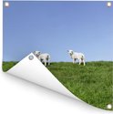 Product afbeelding  17