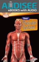 Searchlight Books ™ — How Does Your Body Work? - Your Muscular System