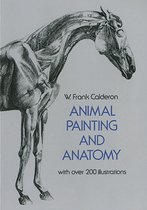 Animal Painting and Anatomy