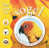 Prof In De Dop / Vogel