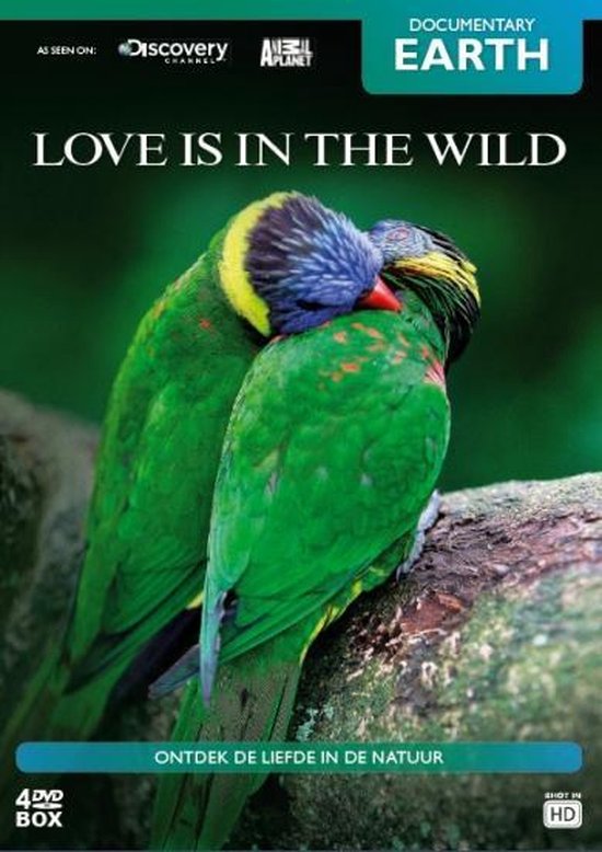 Cover van de film 'Love Is In The Wild'