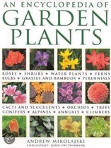 An Encyclopedia Of Garden Plants