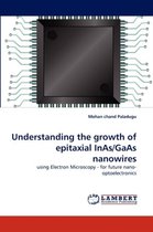Understanding the Growth of Epitaxial Inas/GAAS Nanowires