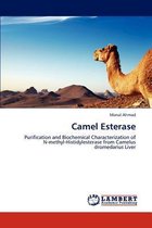 Camel Esterase