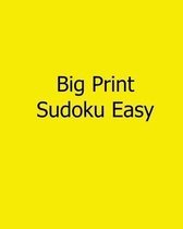 Big Print Sudoku Easy