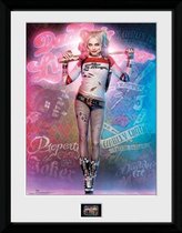 Suicide Squad Harley Quinn Stand - Collector Print