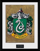 Harry Potter Slytherin - Collector Print 30x40