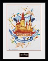 Harry Potter: Hogwarts Paint Collector print